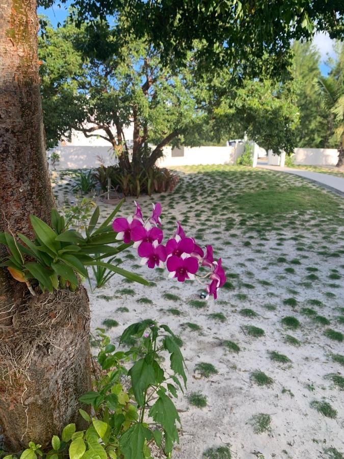 Gumbo Limbo Home Гавърнърс Харбър Екстериор снимка